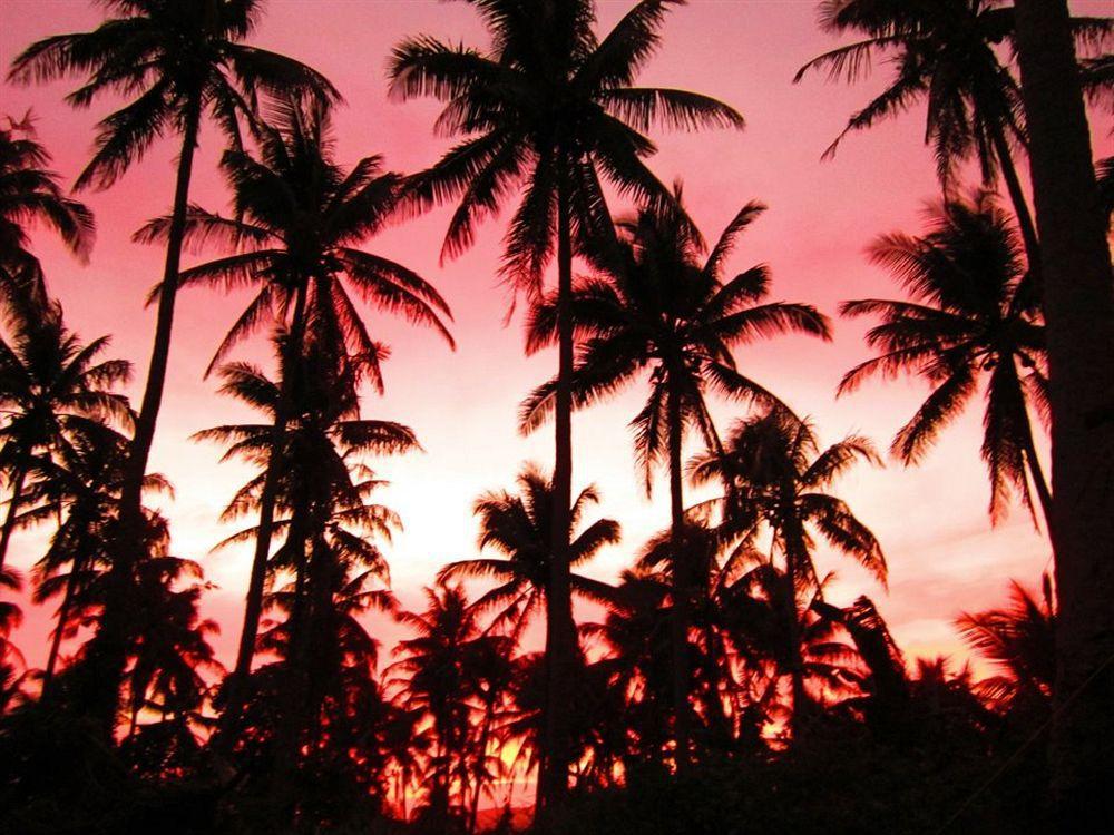 Balay De La Rama Bed & Breakfast Legazpi Kültér fotó