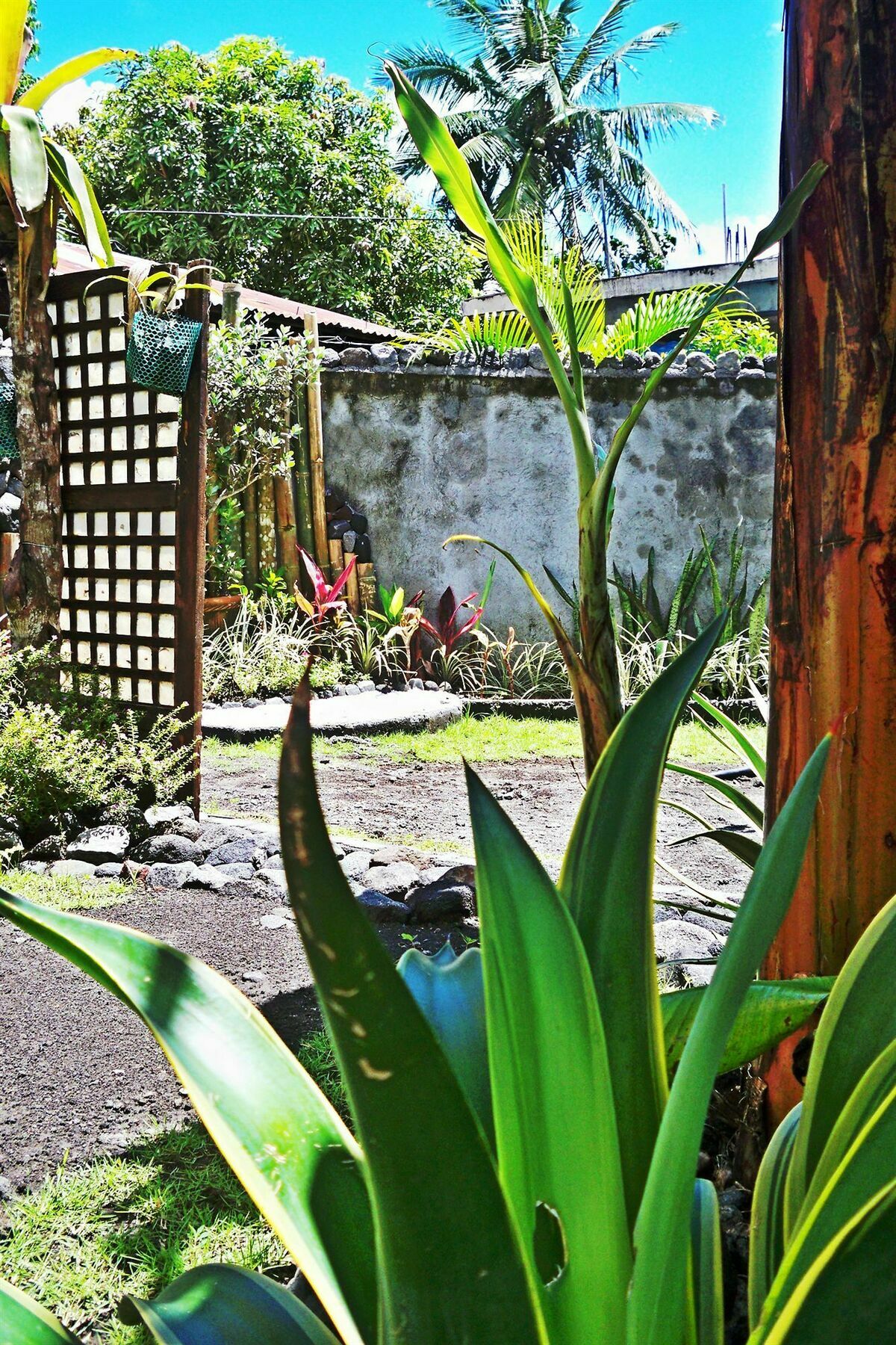 Balay De La Rama Bed & Breakfast Legazpi Kültér fotó